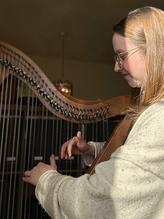 Private Music Lessons: Harp